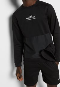 The North Face Shorts - black