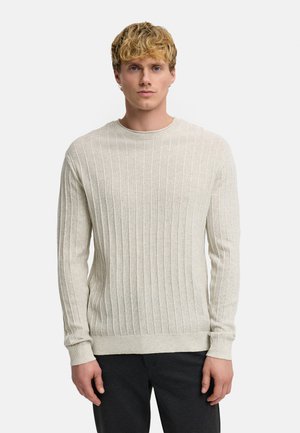 Uomo biondo che indossa un maglione beige a coste con maniche lunghe e pantaloni scuri, in piedi davanti a uno sfondo chiaro e semplice.
