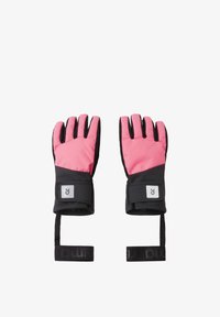 Niewybrane, soft coral