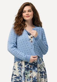 Vaaleansininen kaarrokepusero, jossa on neulekuvio ja ribbaatut hihansuut ja helma, varustettuna nappikiinnityksellä. Alle on puettu kukkakuosisia mekko, jossa on sinisiä ja vihreitä sävyjä.