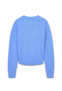 Maglione di lana blu chiaro, design cropped con maniche lunghe, polsini e orlo a coste. Texture morbida, stile pullover con un semplice scollo rotondo.