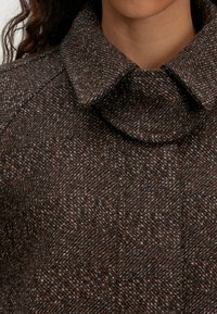 EDITED ÜBERGANGS  DARLIN - Outdoorjacke - braun