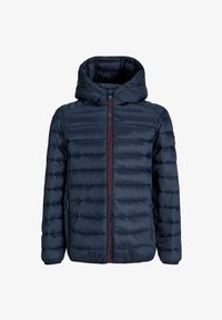 Sélectionné, sky captain