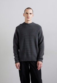 Won Hundred RYDER - Strickpullover - ebony