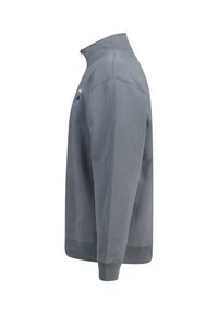 Gray sweatshirt with a high collar, zip detail, and logo on the chest. Material appears soft, with ribbed cuffs and hem.