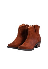 Botas de tobillo de ante marrón con tacón bajo, que presentan un cierre de cremallera, bucles laterales y costuras decorativas a lo largo de las costuras.