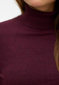 Burgundi värvi kõrge kaelusega kampsun, valmistatud pehmest kootud kangast, krae juures sooniline tekstuur. Ilma nähtavate mustrite või riistvara detailideta.