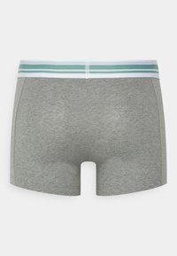 Puma PLACED LOGO 2 PACK - Trunks - sage