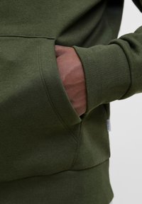 Green hoodie with ribbed cuffs and a front pocket. Made from a soft fabric, featuring a relaxed fit and a subtle logo tag on the side.
