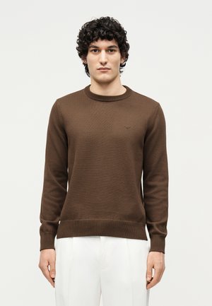 Ung mann med krøllete mørkt hår iført en brun langermet strikkegenser og hvite bukser mot en ensfarget bakgrunn.