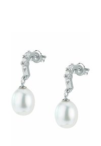 FAVS Örhänge - silver coloured