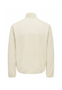 Veste en polaire beige à manches longues, col haut et poignets élastiques, vue de dos sur fond blanc.