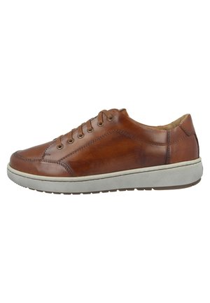 DAVID - Trainers - cognac kombi (26403-860-371)
