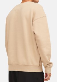 Sweatshirt beige con colletto rotondo, maniche lunghe e polsini a costine, caratterizzato da una texture morbida e un fit rilassato.