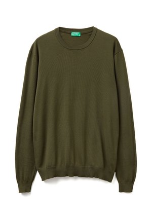 CREW NECK - Strickpullover - green