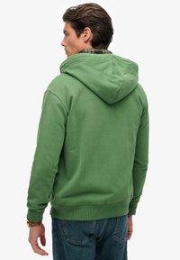 Groene pullover met capuchon, gemaakt van katoen, met geribbelde boorden en zoom, gedragen over een geruit overhemd, getoond vanaf de achterkant.