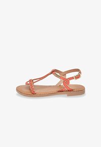 Non sélectionné, coral