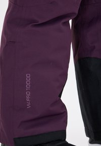 ZIGZAG PROVO PRO - Schneehose - purple pennant