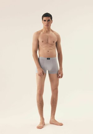 Gray cotton boxer shorts with a fitted design, contrasting waistband, and mid-rise cut, displayed on a standing male model.