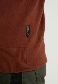 Sweter w kolorze rdzy z prążkowanym obszyciem na dole i mankietach, z małą czarną metką z białym napisem z boku. Gładka dzianina.