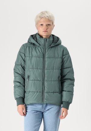 Groene gewatteerde jas met een capuchon, met een ritssluiting aan de voorkant, twee zijzakken en geribde manchetten. Gladde textuur en gestikte stijl.