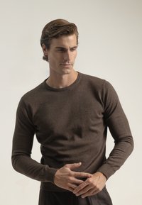 Suéter de punto marrón hecho de material suave, con un clásico cuello redondo y puños acanalados. Logo sutil en el pecho.