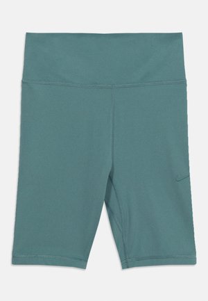 Nike Performance, BIKE UNISEX - Korte broeken - mineral slate