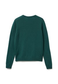 Zelený pletený svetr, kulatý výstřih, dlouhé rukávy, hladká textura, žebrované manžety a lem, jednoduchý design bez ozdob.