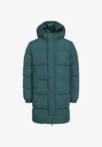 Valitud, magical forest