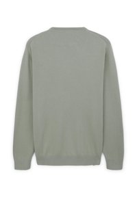 Hellgrüner gestrickter Pullover, Rundhalsausschnitt, lange Ärmel, glatte Textur, gerippte Bündchen und Saum, Rückansicht zeigt nahtloses Schulterdesign.