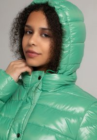 Manisa STEPP RECYCELT - Wintermantel - grün