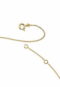 Cadena de oro con un diseño fino y entrelazado. Presenta un cierre de langosta y eslabones circulares para longitud ajustable. Textura suave, acabado brillante.