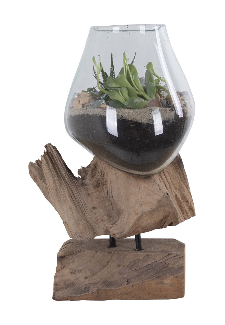 Terrario in vetro dalla forma curva, che ospita succulente verdi, posato su una base in legno naturale con una superficie texturizzata e accenti scuri.