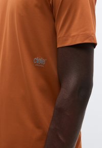 Κοντομάνικο, πορτοκαλί αθλητικό μπλουζάκι από απαλό ύφασμα με διακριτική γυαλάδα. Διαθέτει το λογότυπο "ciele" σε ανοιχτό γκρι στο μπροστινό μέρος.