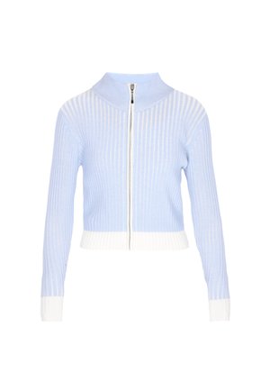 Hellblauer, kürzer geschnittener Pullover mit vertikalen Rippen, weißem Reißverschluss und weißen, gerippten Bündchen. Weiche Textur und strukturiertes Kragendesign.