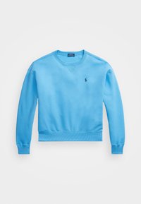 Ljusblå sweatshirt i mjukt material, med rundad halsringning, ribbstickade manschetter och nederkant, samt en liten mörk logotyp på bröstet.