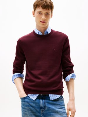 Bordeaux rondehals trui over een lichtblauw gestreept shirt, gecombineerd met denim jeans. Eenvoudig logo detail op de trui.