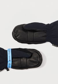 Μαύρα μονωμένα γάντια με δερμάτινες παλάμες, μπλε Gore-Tex καρπούς και ελαστικά μανίκια σε λευκό φόντο.