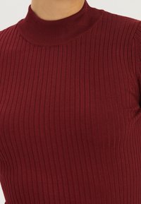 Burgundinpunainen ribbineuloksinen pooloneule, joka on muotoiltu vartalonmyötäiseksi, pehmeästä materiaalista ja korkealla kauluksella. Siinä on pystysuorat raidat ja saumaton viimeistely.