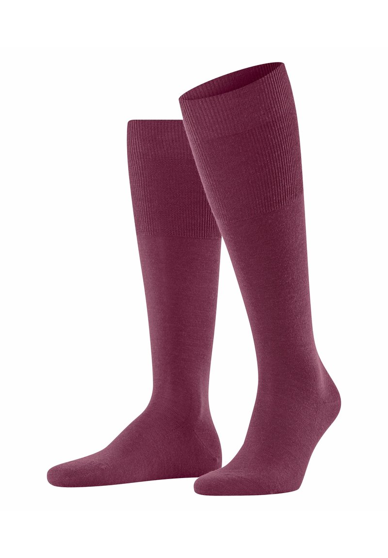 FALKE AIRPORT - Calzettoni - red