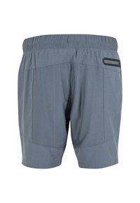 Pánské sportovní šortky v světle šedé barvě, s elastickým pasem, dvěma bočními kapsami a hladkou, vlhkost odvádějící texturou látky.
