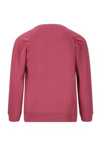 Roze pullover met lange mouwen, voorzien van geplooide schouderdetails en een ribbelboord bij de hals en onderkant. Zachte textuur, eenvoudig ontwerp.