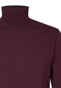 Pull en col roulé bordeaux en tissu côtelé, avec un col haut et une coupe ajustée. Texture lisse, sans motifs ni accents.