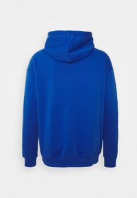 Felpa con cappuccio di colore blu reale, maniche lunghe, polsini e vita a costine, mostrata da dietro su uno sfondo bianco.