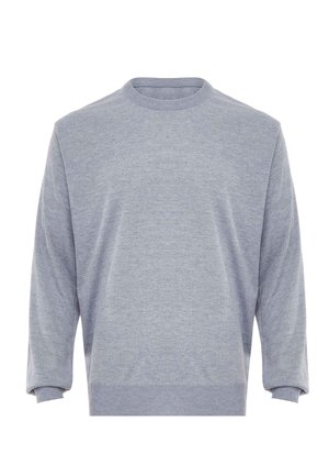 Hellgraues Sweatshirt mit langen Ärmeln, Rundhalsausschnitt und gerippten Bündchen, Kragen und Saum, präsentiert vor weißem Hintergrund.