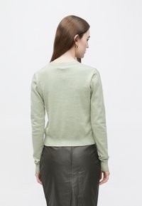 Vaaleanvihreä neulottu pusero pyöreällä kaula-aukolla ja resorilla varustetulla helmalla, yhdistetty mustaan nahkahameeseen. Kuvio näyttää pehmeältä ja sileältä.