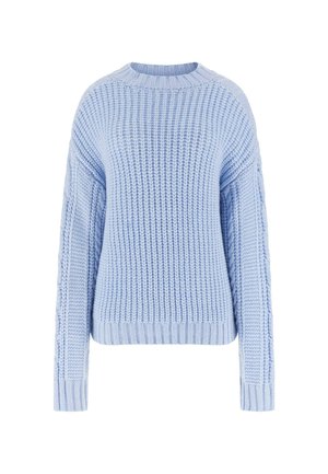 Maglione chunky blu chiaro con collo girocollo a costine, bordi e maniche, caratterizzato da un motivo di maglia testurizzata sul corpo e sulle maniche.