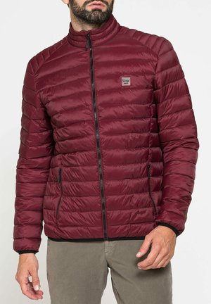 Carrera Jeans, UOMO TINTA UNITA - Piumino - bordeaux