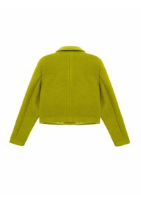 Veste courte en vert citron vif avec une texture en chevrons, col revers et manches longues. Dos épuré sans ornement.