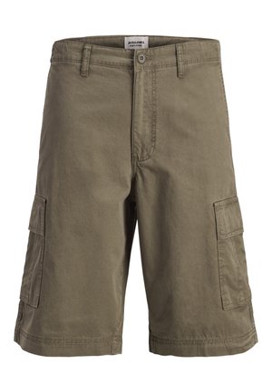 Jack & Jones, JPSTCOLE MATTY - Shorts - crocodile